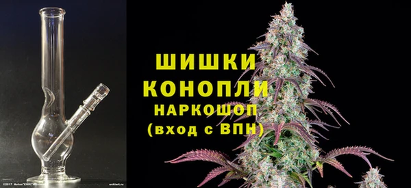 шишки Абаза