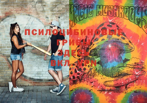 a pvp Алзамай